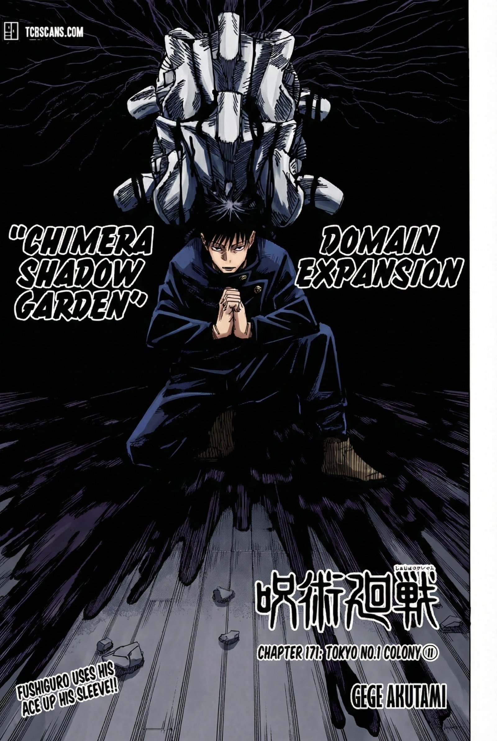 Chapter 171