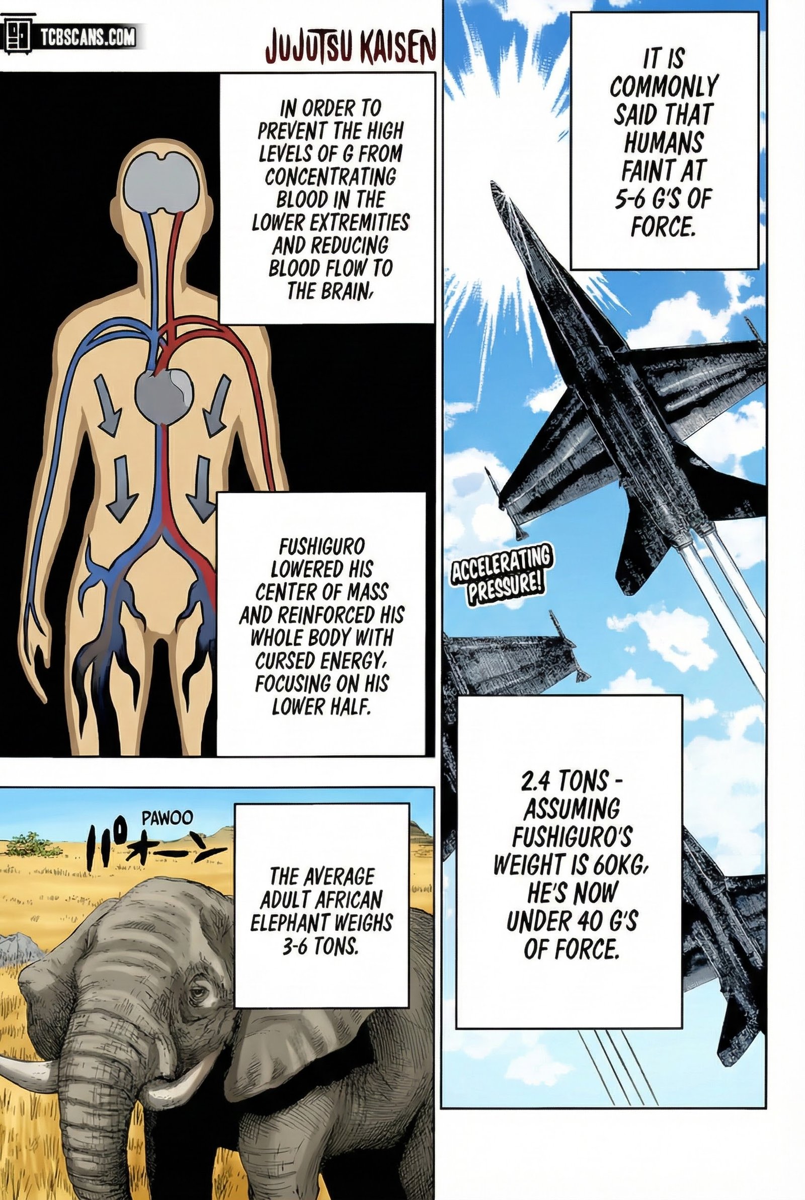 Chapter 172