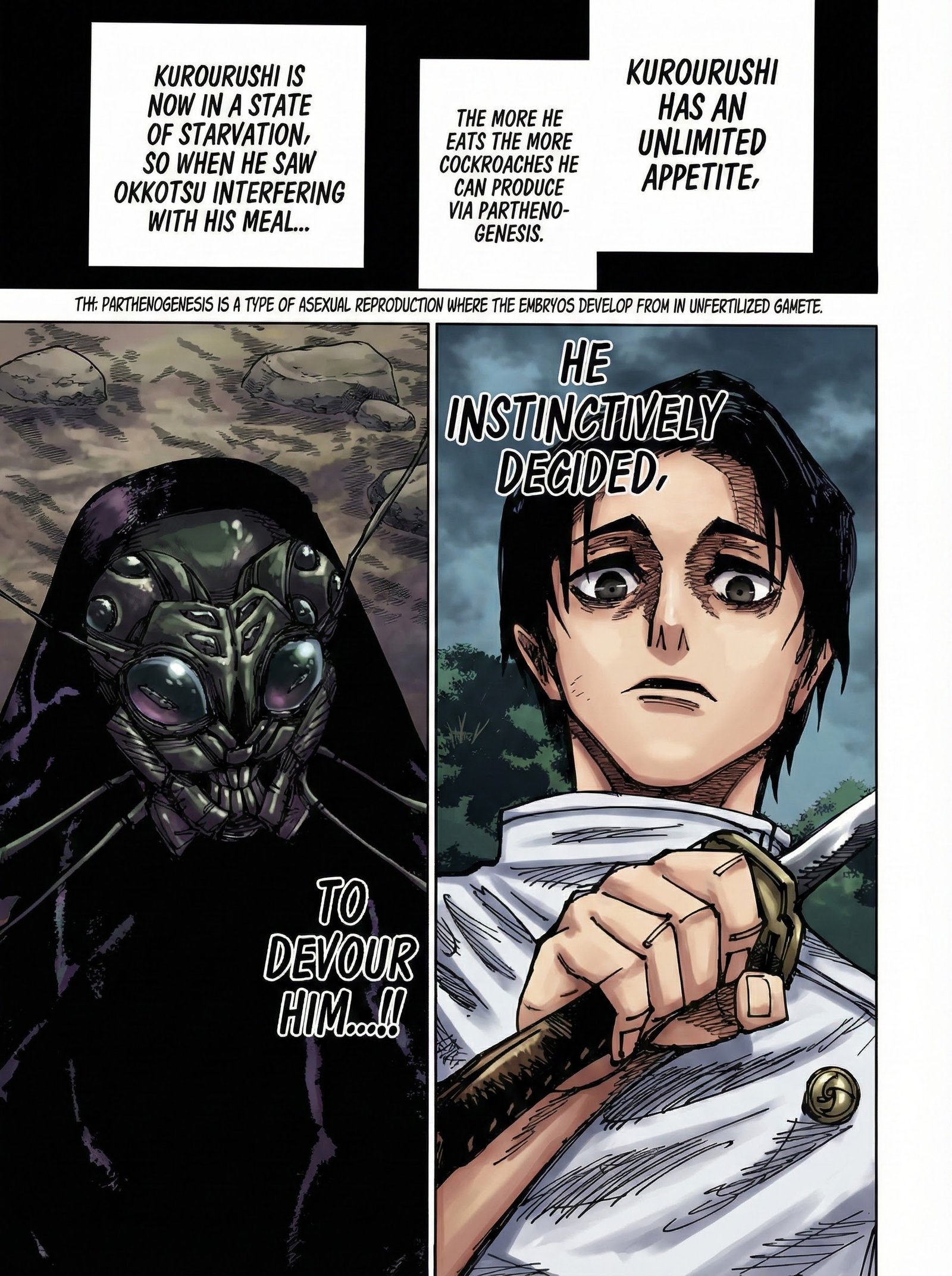 Jujutsu Kaisen Chapter 174 Page 14 - Colored Manga Panel