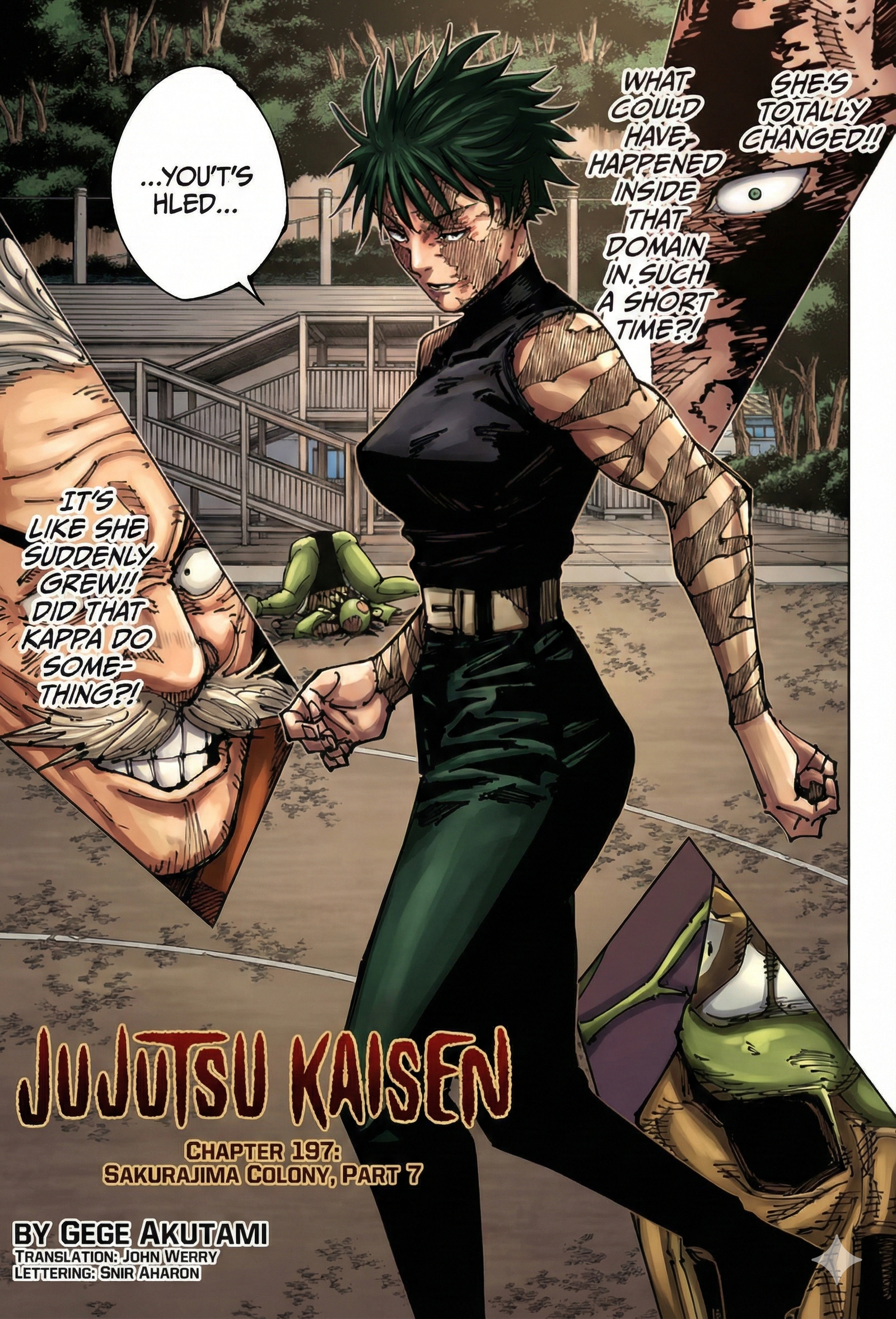Chapter 197
