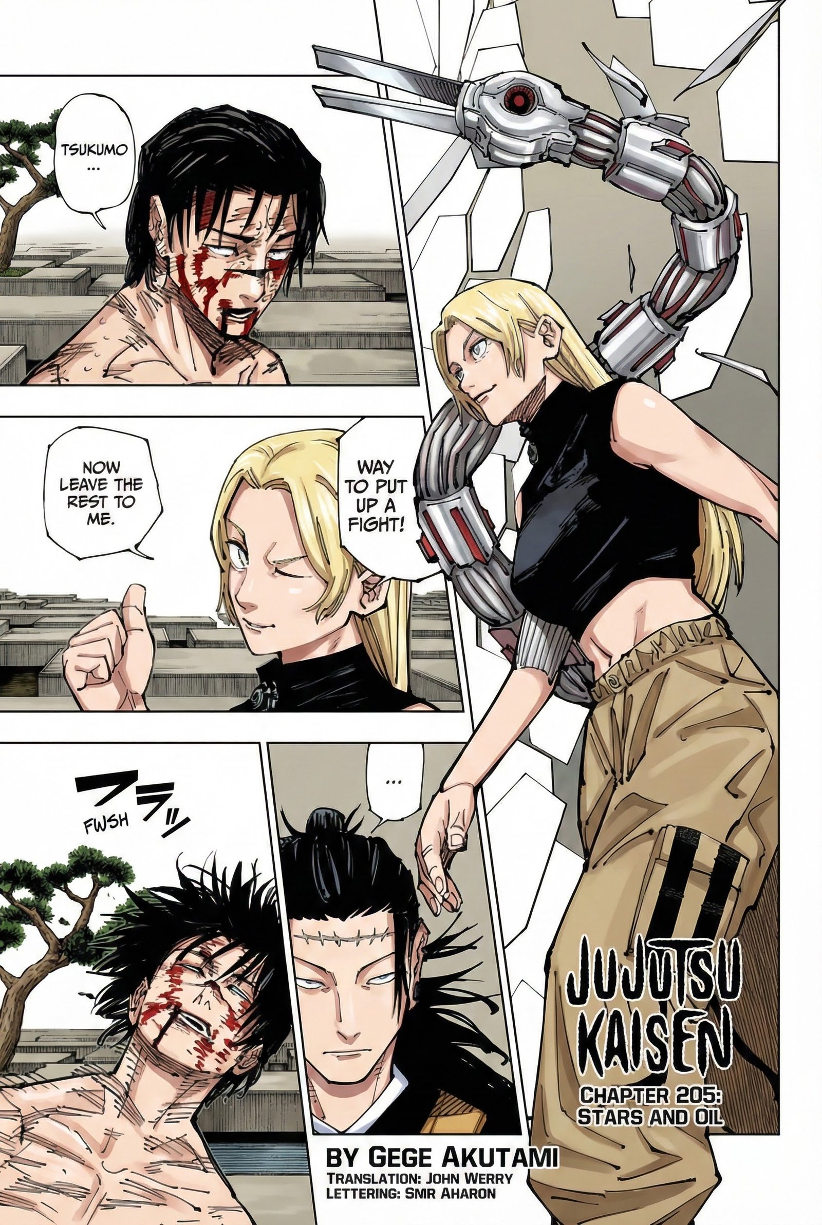 Chapter 205