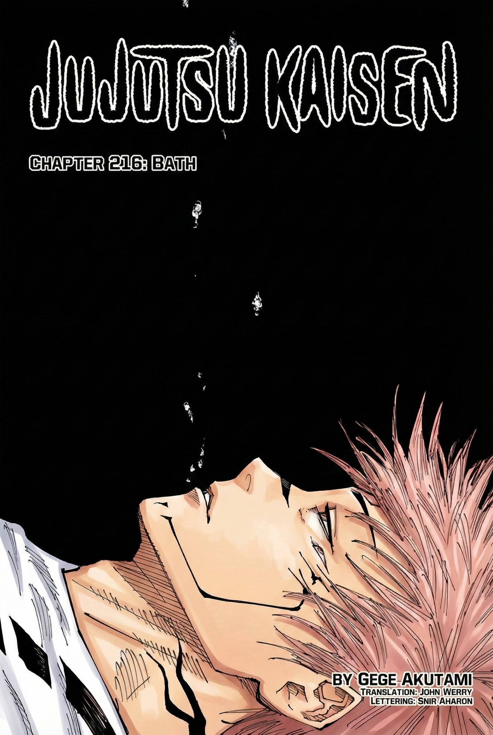 Chapter 216