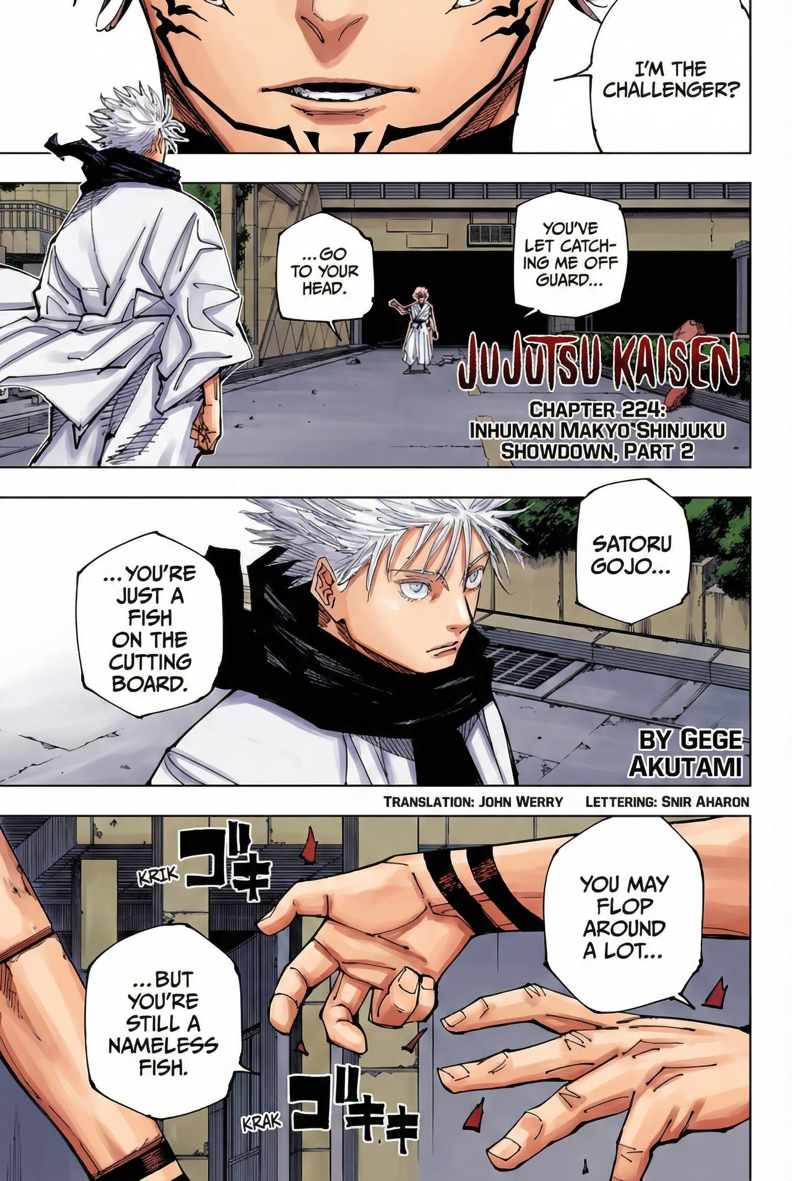 Chapter 224