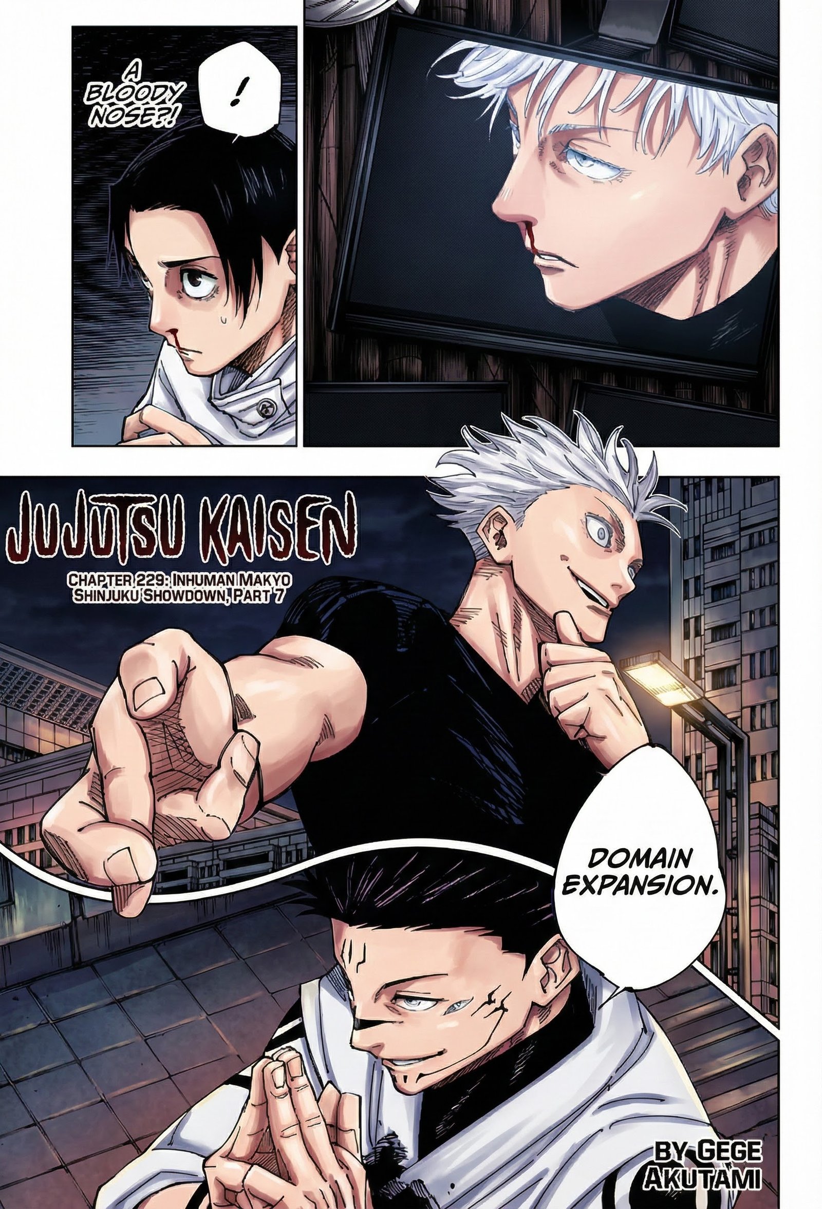Chapter 229