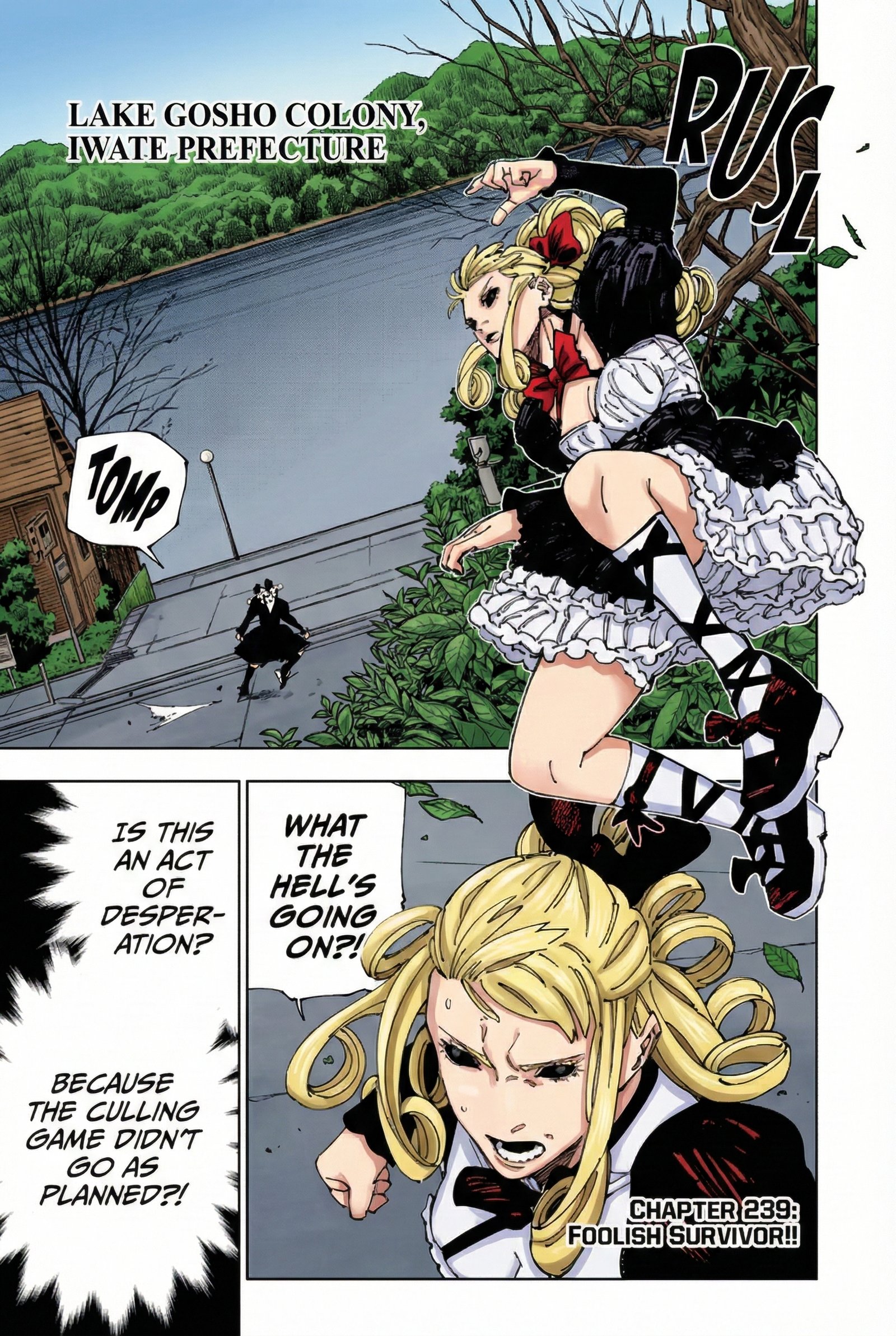 Chapter 239