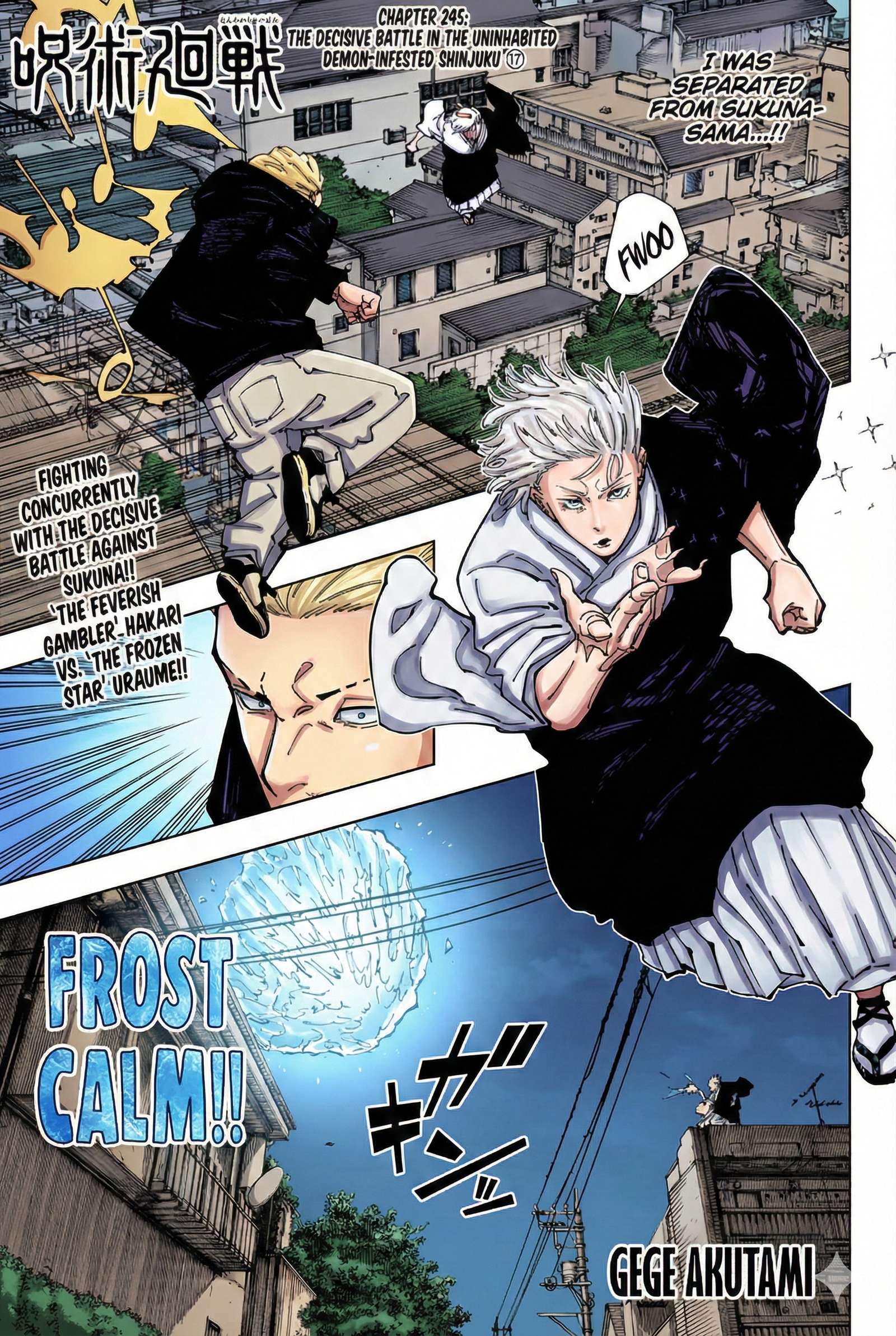 Chapter 245