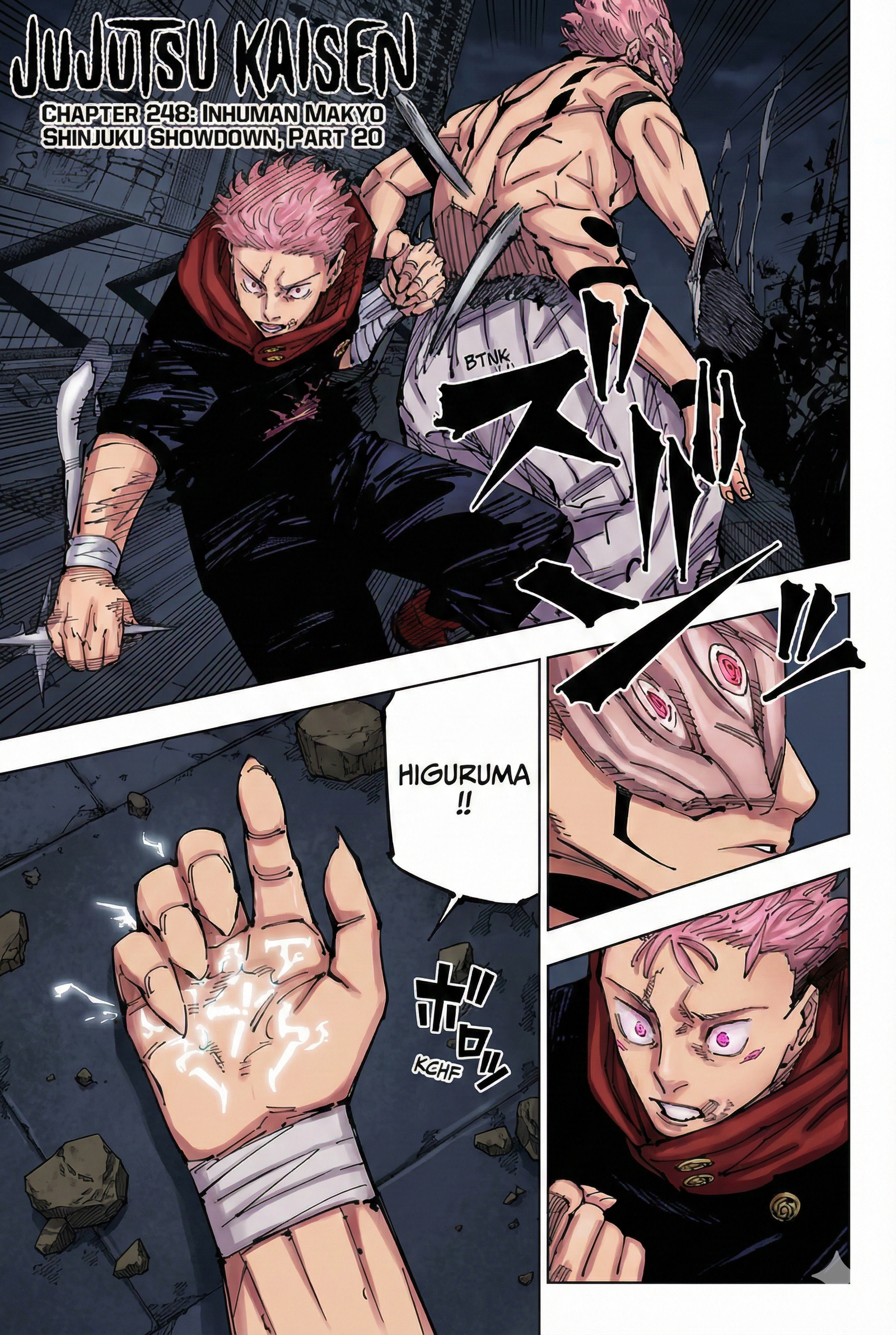 Chapter 248