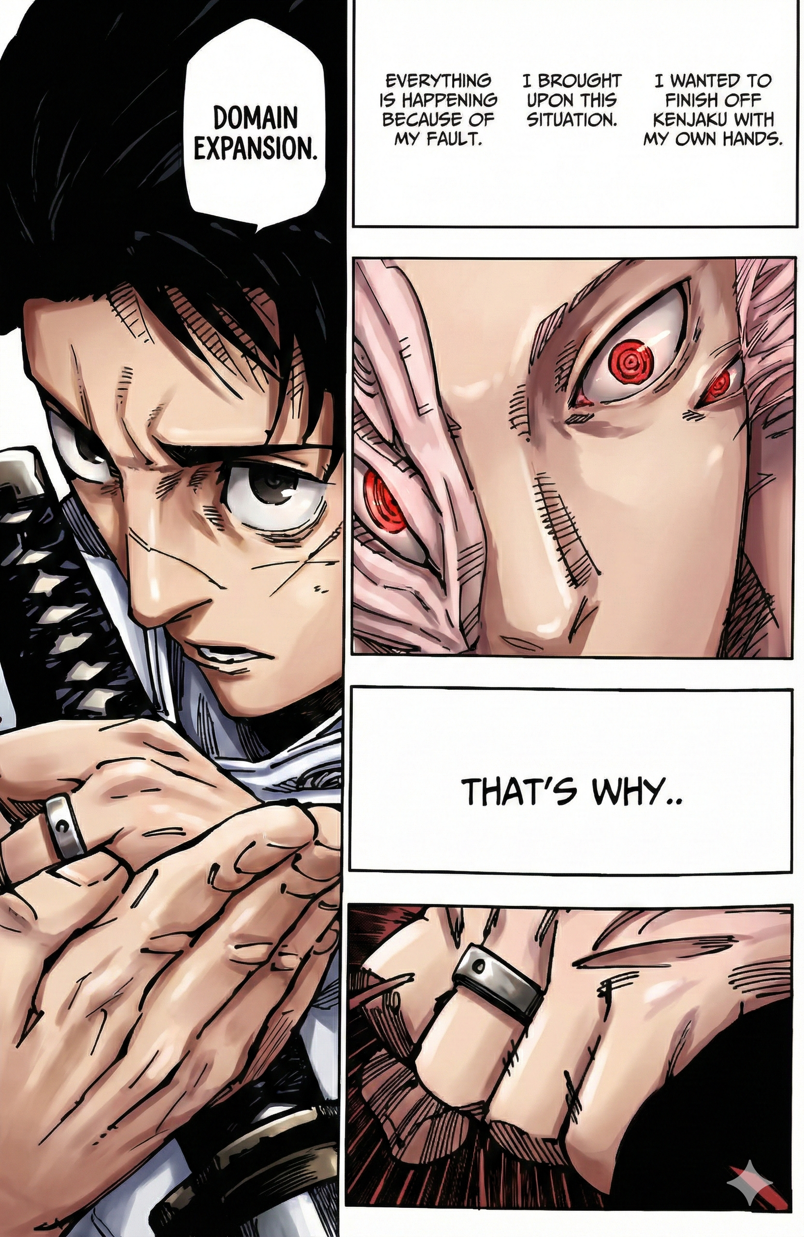 Jujutsu Kaisen Chapter 249 Page 14 - Colored Manga Panel