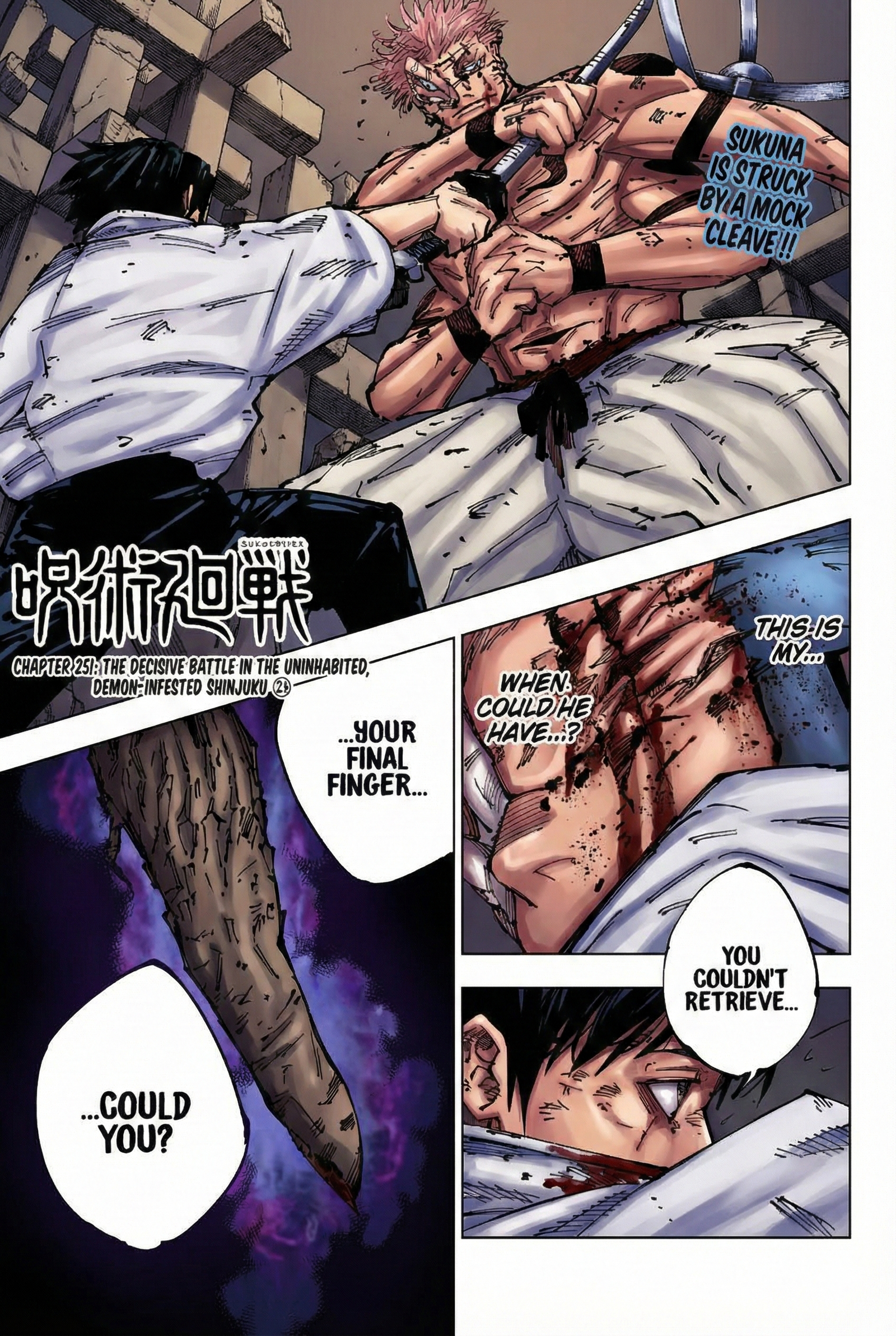 Chapter 251