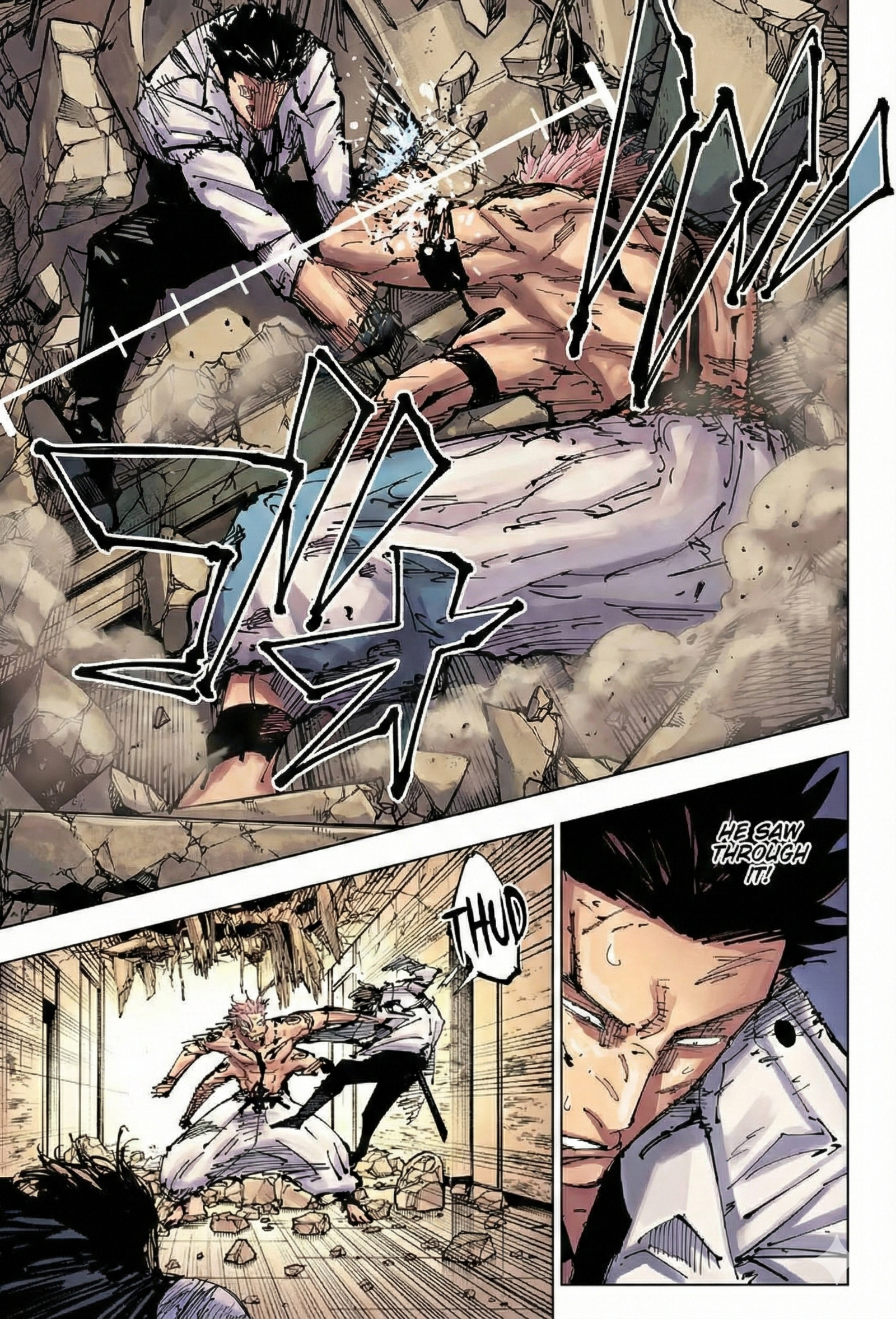 Jujutsu Kaisen Chapter 253 Page 10 - Colored Manga Panel