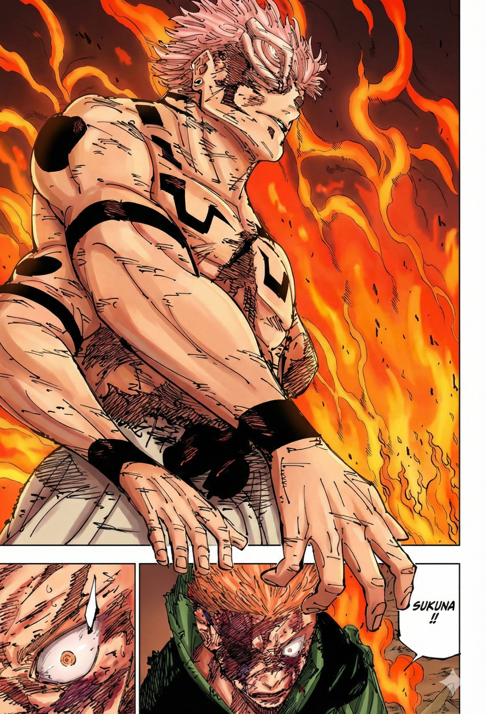 Jujutsu Kaisen Chapter 259 Page 11 - Colored Manga Panel