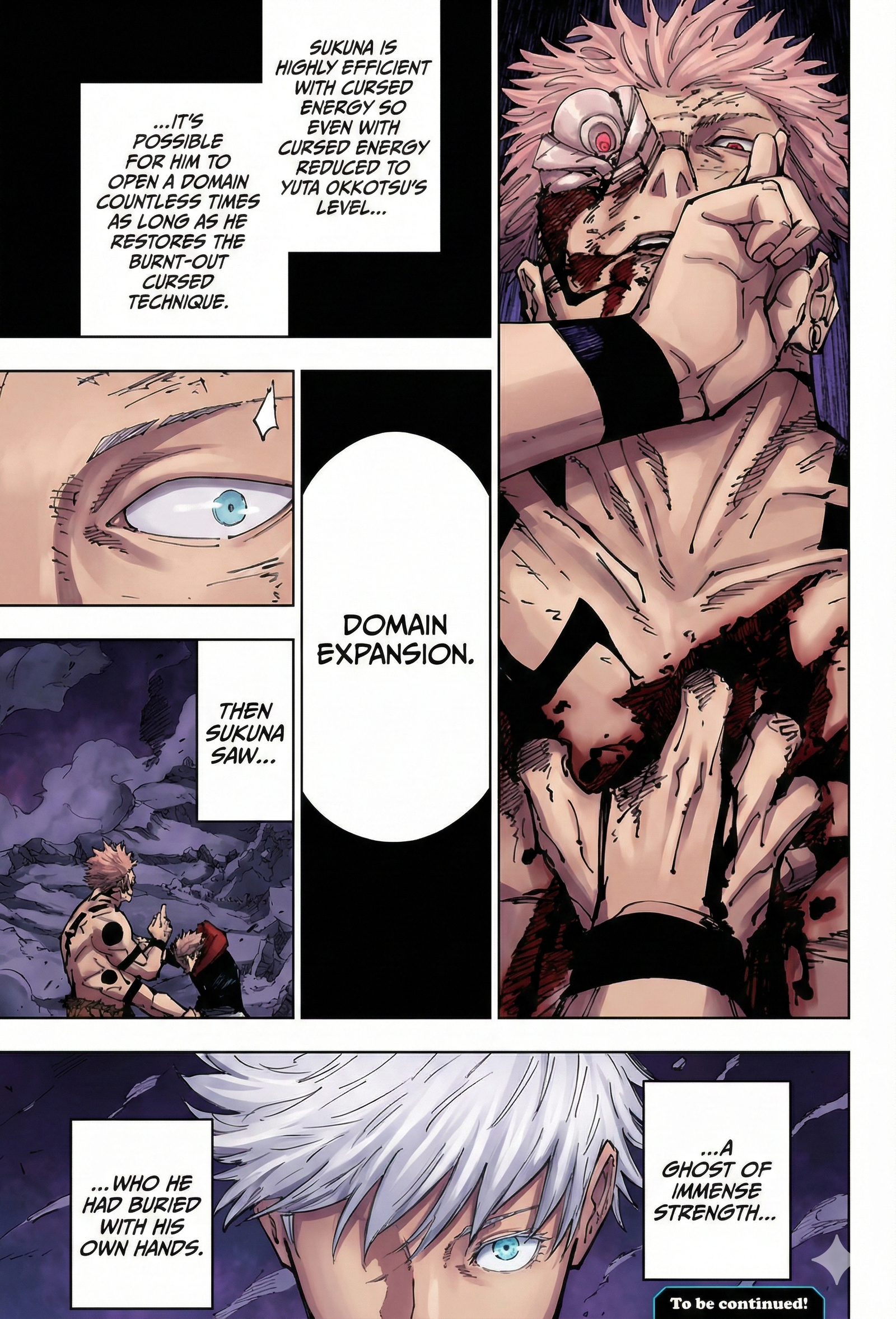 Jujutsu Kaisen Chapter 260 Page 17 - Colored Manga Panel