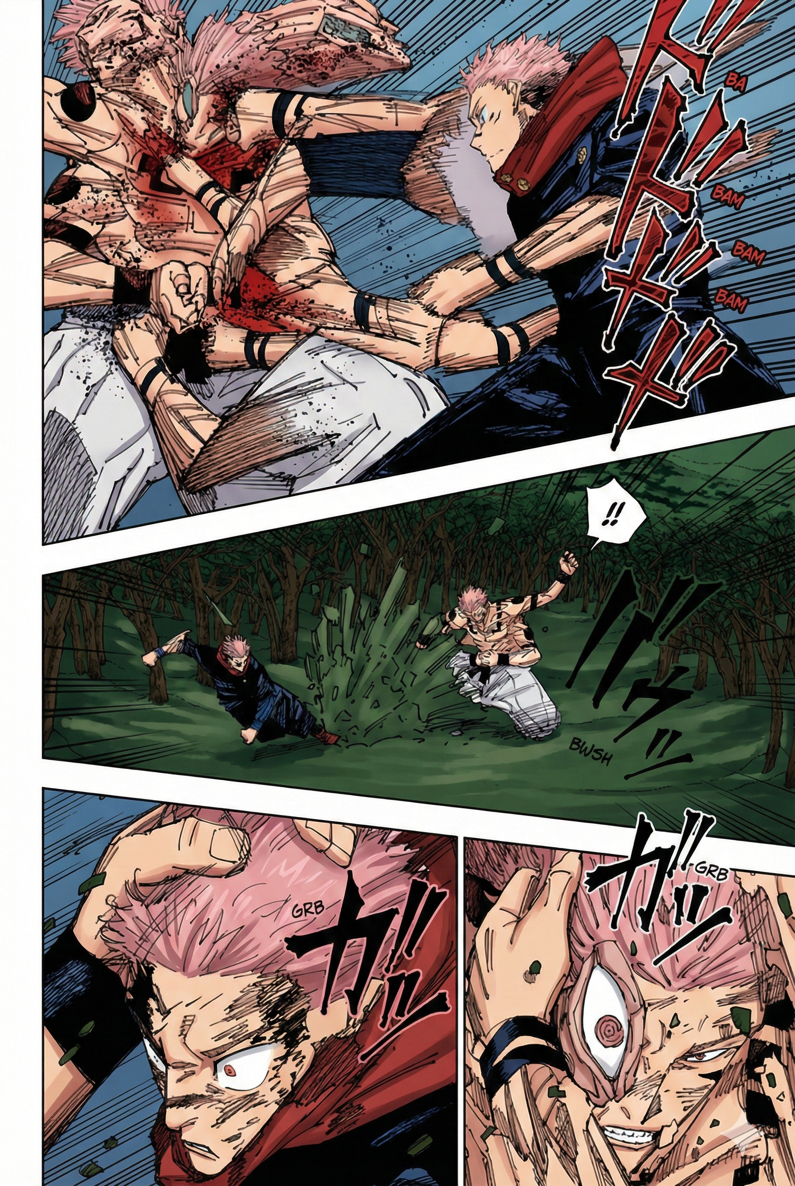 Jujutsu Kaisen Chapter 266 Page 14 - Colored Manga Panel