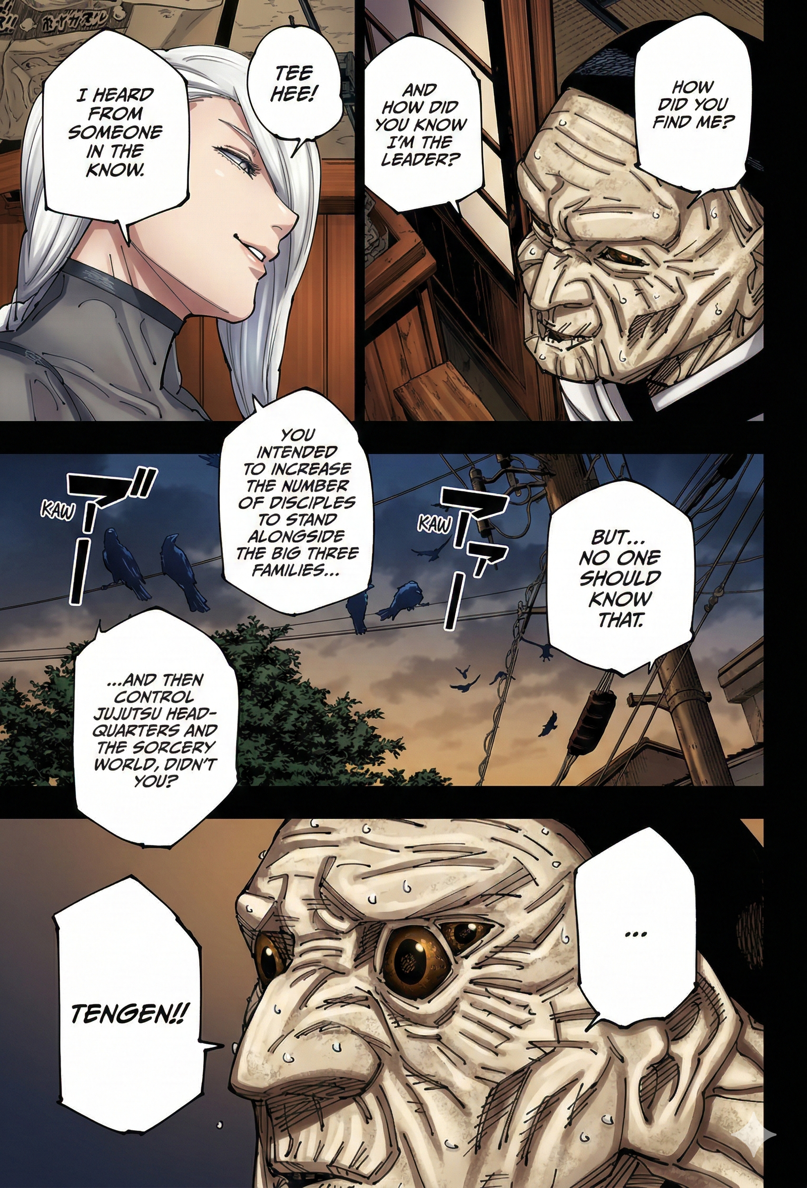 Jujutsu Kaisen Chapter 269 Page 17 - Colored Manga Panel